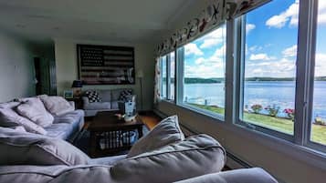 TV, fireplace, books, stereo