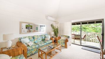 Smart TV, DVD player, books, stereo