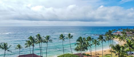 Beach/ocean view