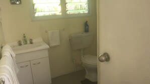 A bathroom with a toilet, sink, and a window with blinds. - Two bedroom house - spacious, clean and comfortable in great location. (Niue)