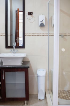 Habitación doble presidencial | Baño | Tina y regadera independientes y amenidades de baño gratuitas