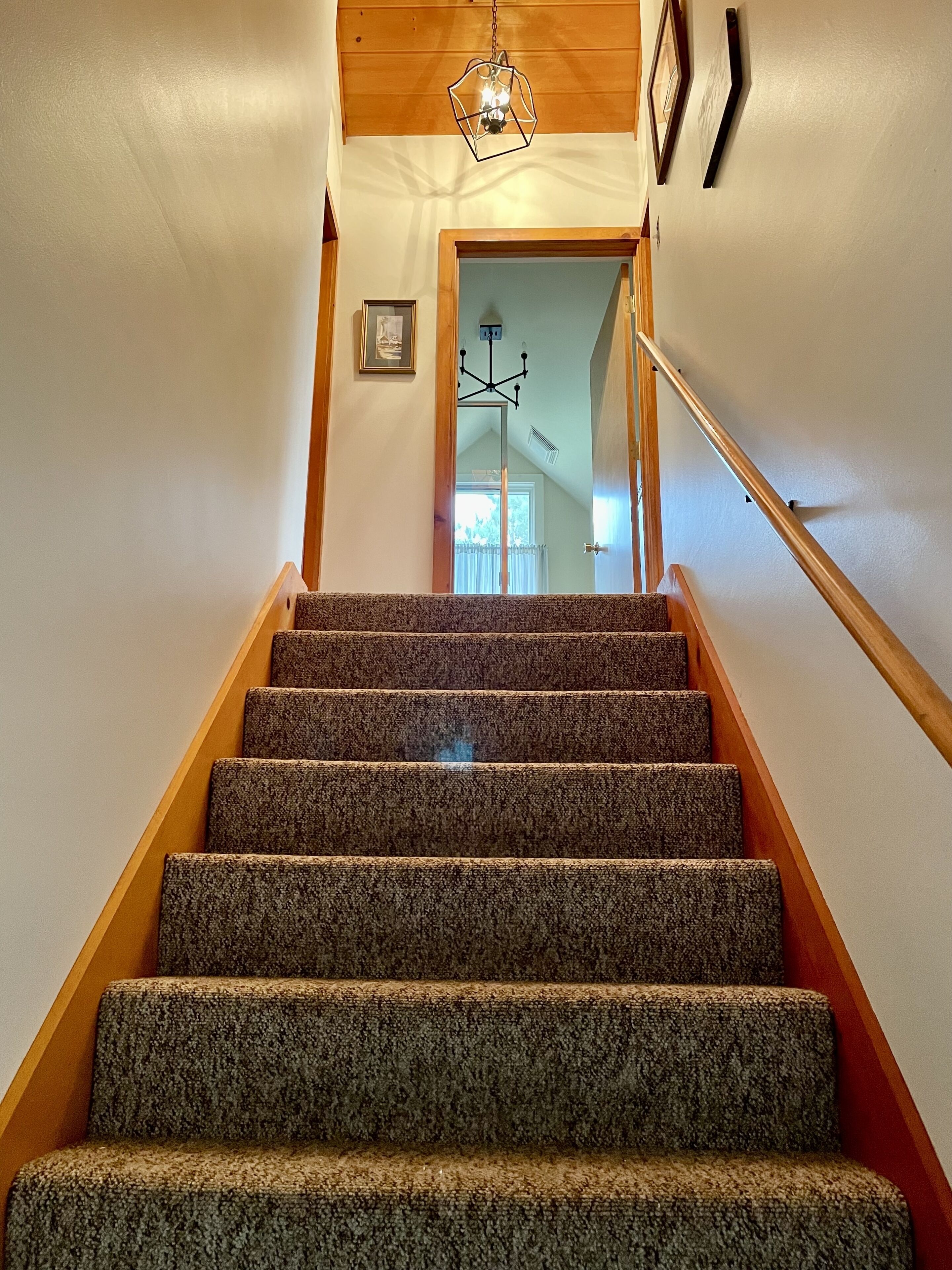 A staircase with carpeted steps leading to a door.