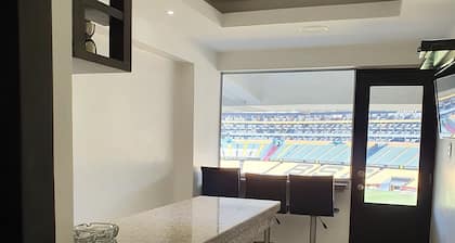 Copa Libertadores final, Monumental Banco Pichincha Stadium