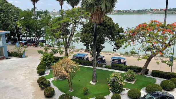 A landscaped area with a lawn, trees, and a car parked on a concrete surface.