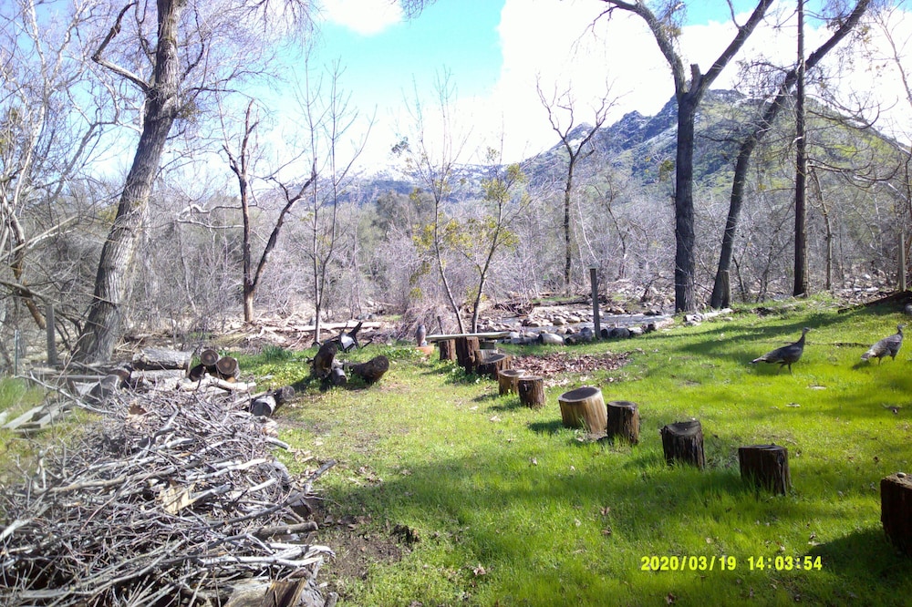 Seasonal River Rustic Suite