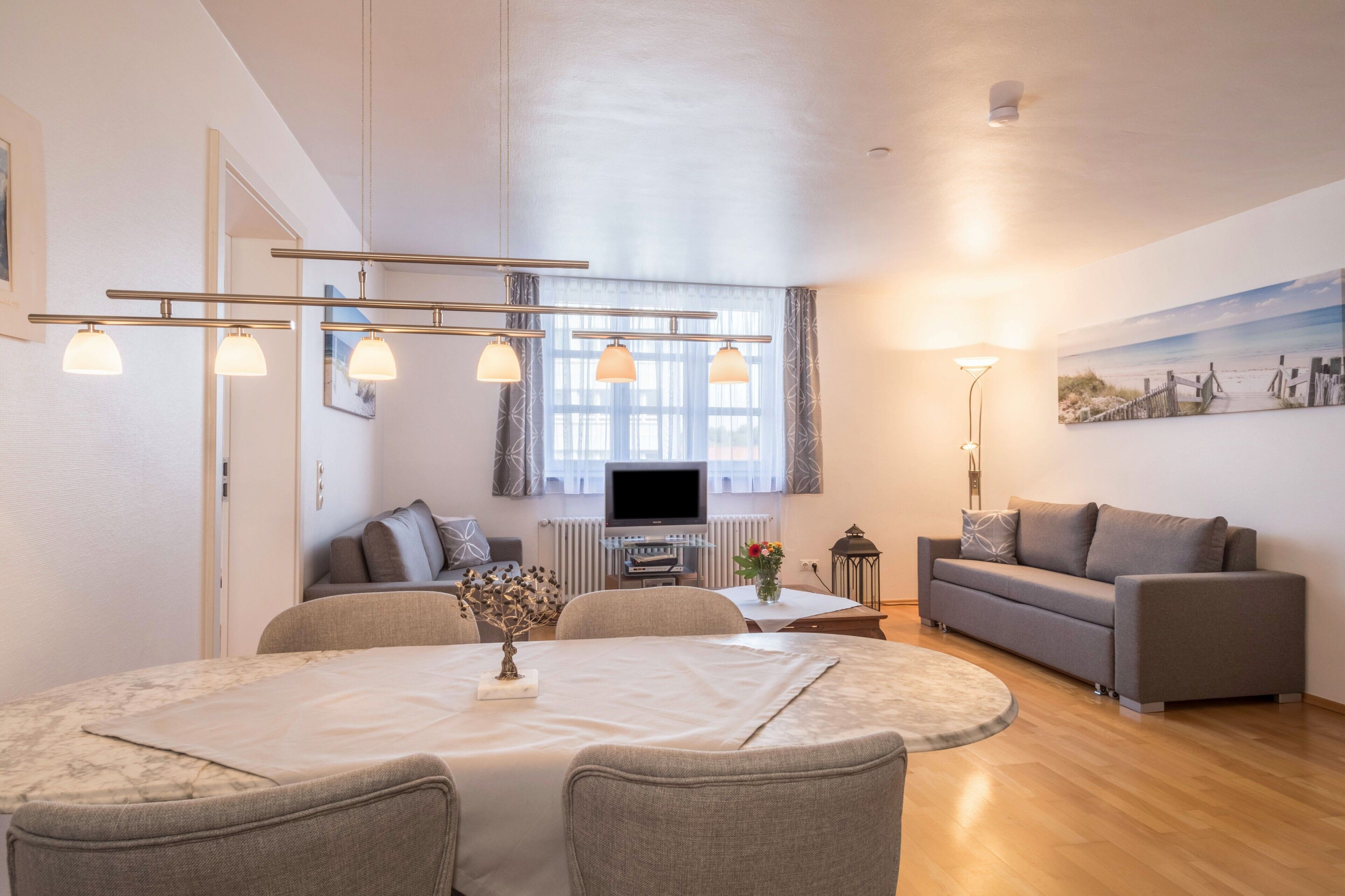 テレビ、DVD プレーヤー