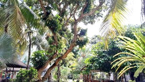 A pathway flanked by lush greenery and traditional structures, leading to a covered seating area. - Panorama Hotel Ubud (Ubud)