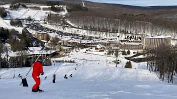 Deportes de invierno y ski