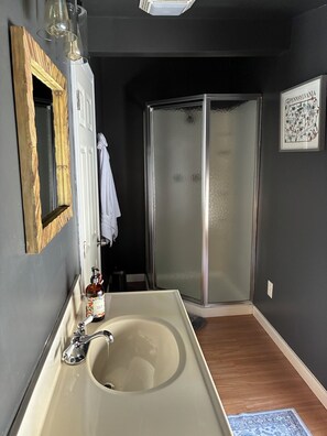 Shower, hair dryer, towels, toilet paper - Ligonier Creekside Cabin in Laurel Highlands (Ligonier)