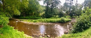 Escape to a serene riverbank surrounded by lush greenery and trees.