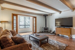 薄型テレビ、暖炉、テレビゲーム、DVD プレーヤー