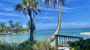 Un paysage côtier avec des palmiers, un ciel bleu dégagé et une mer calme.