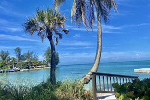 Unclassified image, 4 of 50, button