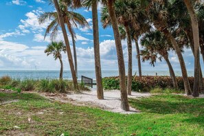 A beach with palm trees, a wooden walkway, and a view of the ocean. - Condo with Private Beach | Walk to SK Village | Stand Alone Unit | Fishing Pier | Monthly Visitors (Siesta Key)