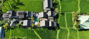 Ananda JJ Ubud Resort & Spa