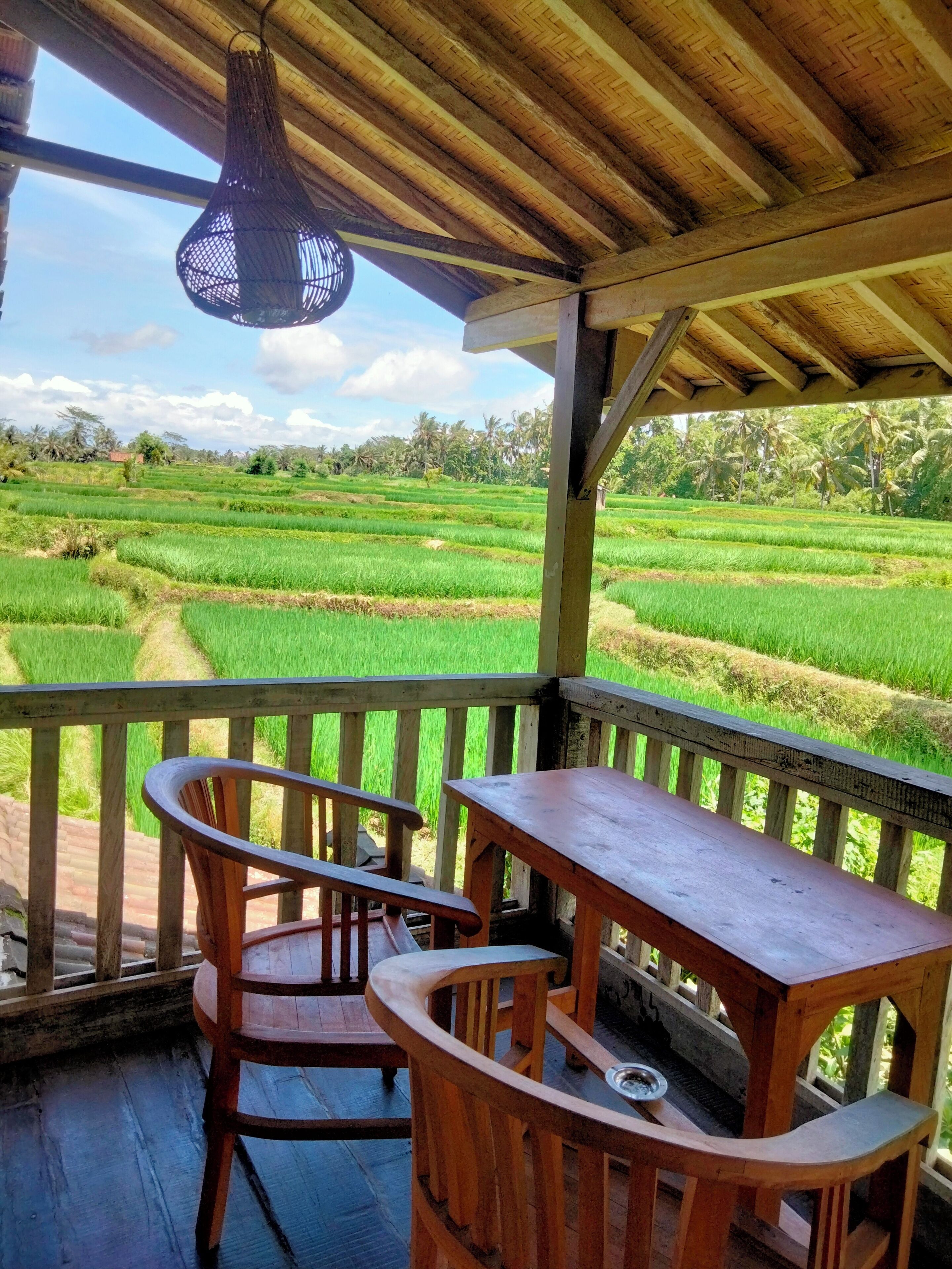 Design Bungalow | View from room