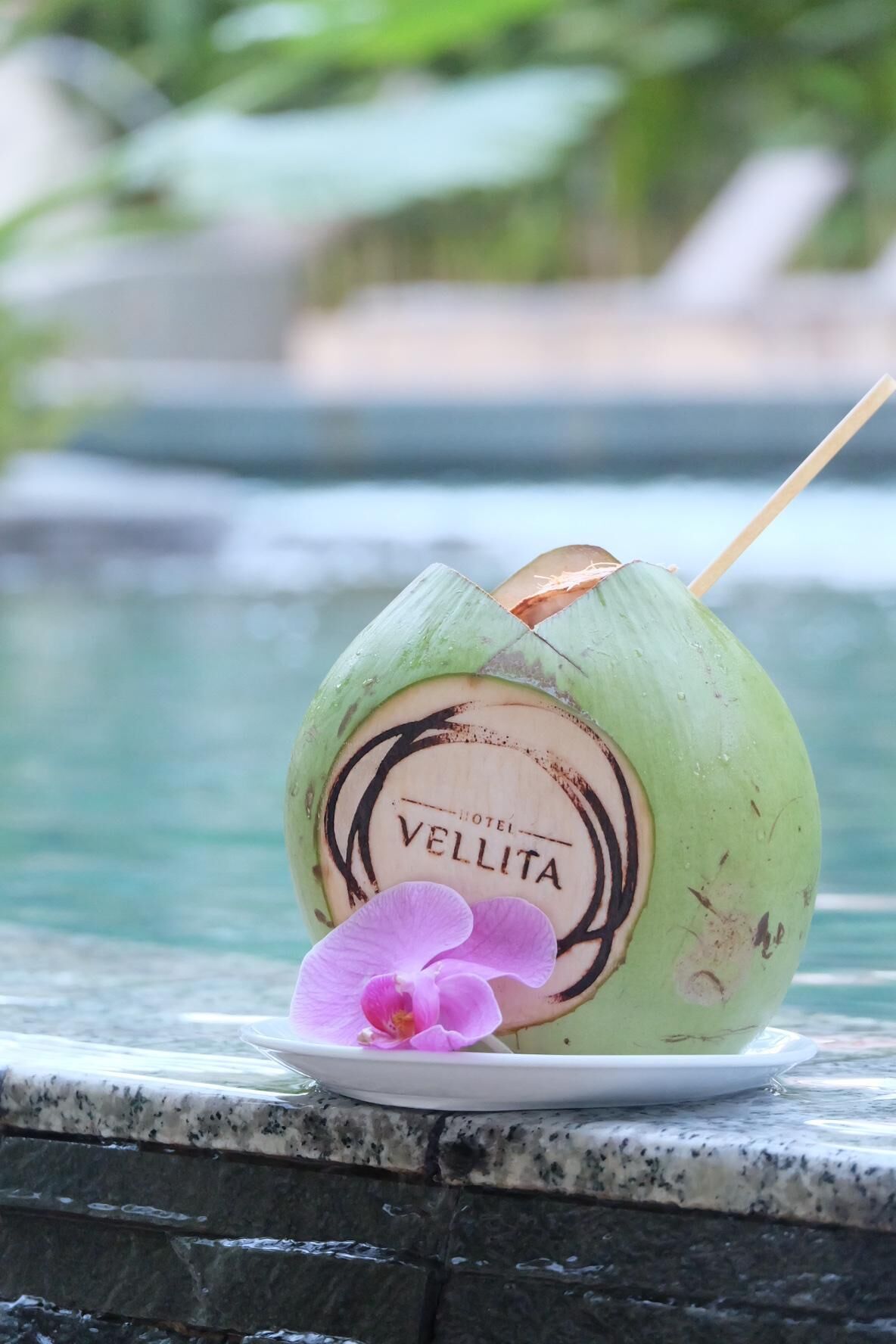 Foto - Hotel Vellita Siem reap