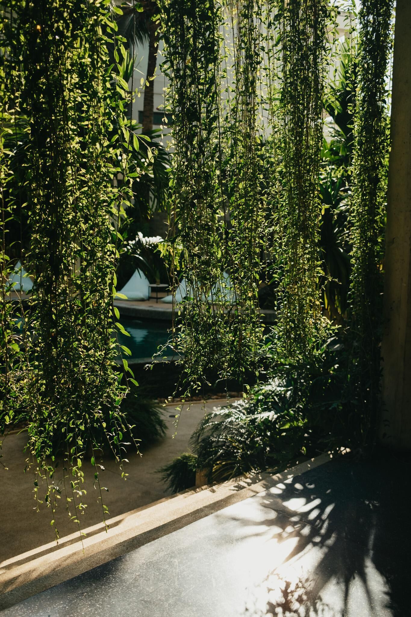 Vista de un jardín colgante con exuberante vegetación y una piscina al fondo.