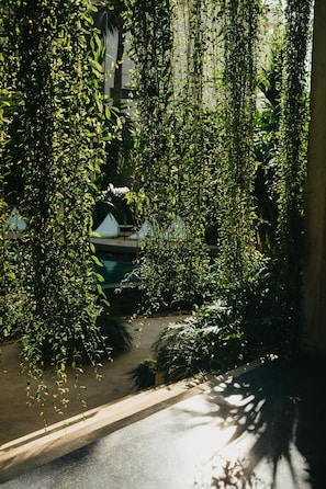 A view of a hanging garden with lush greenery and a pool in the background.