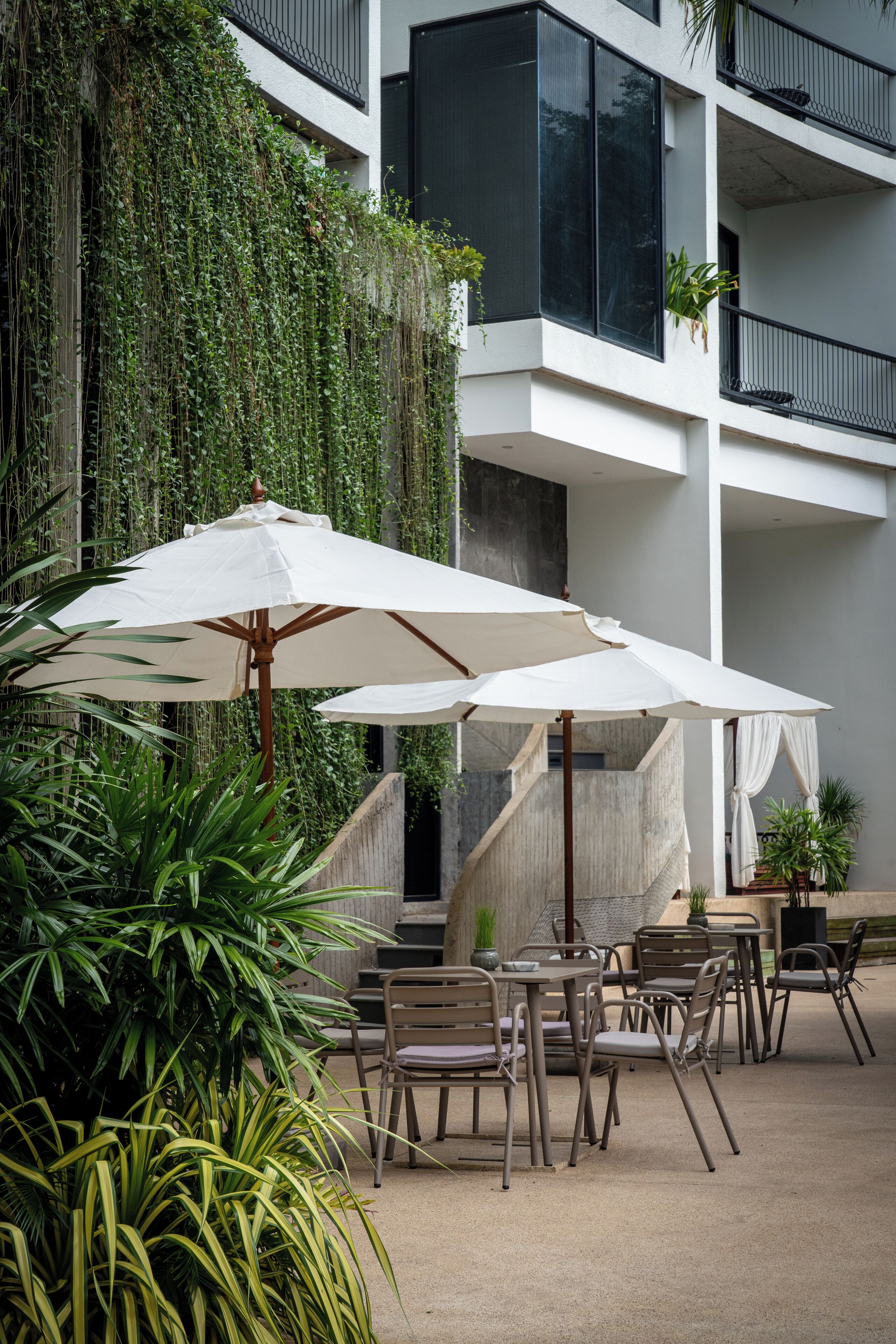 Foto - Hotel Vellita Siem reap