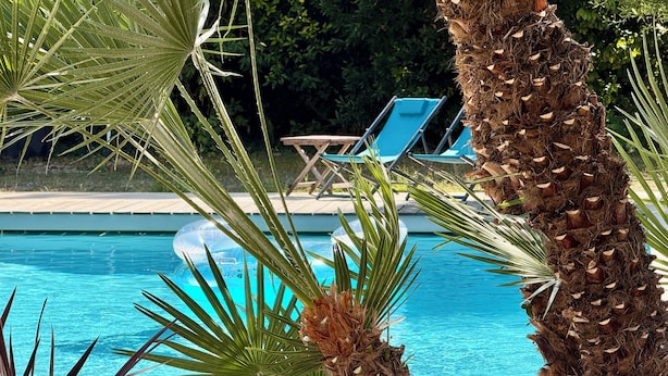 A swimming pool surrounded by palm trees and blue lounge chairs.