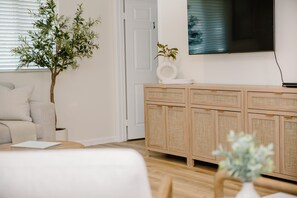 TV connectée, cheminée, lecteur de DVD, livres