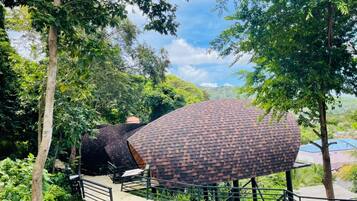 A modern building with a curved roof, surrounded by lush greenery and trees.