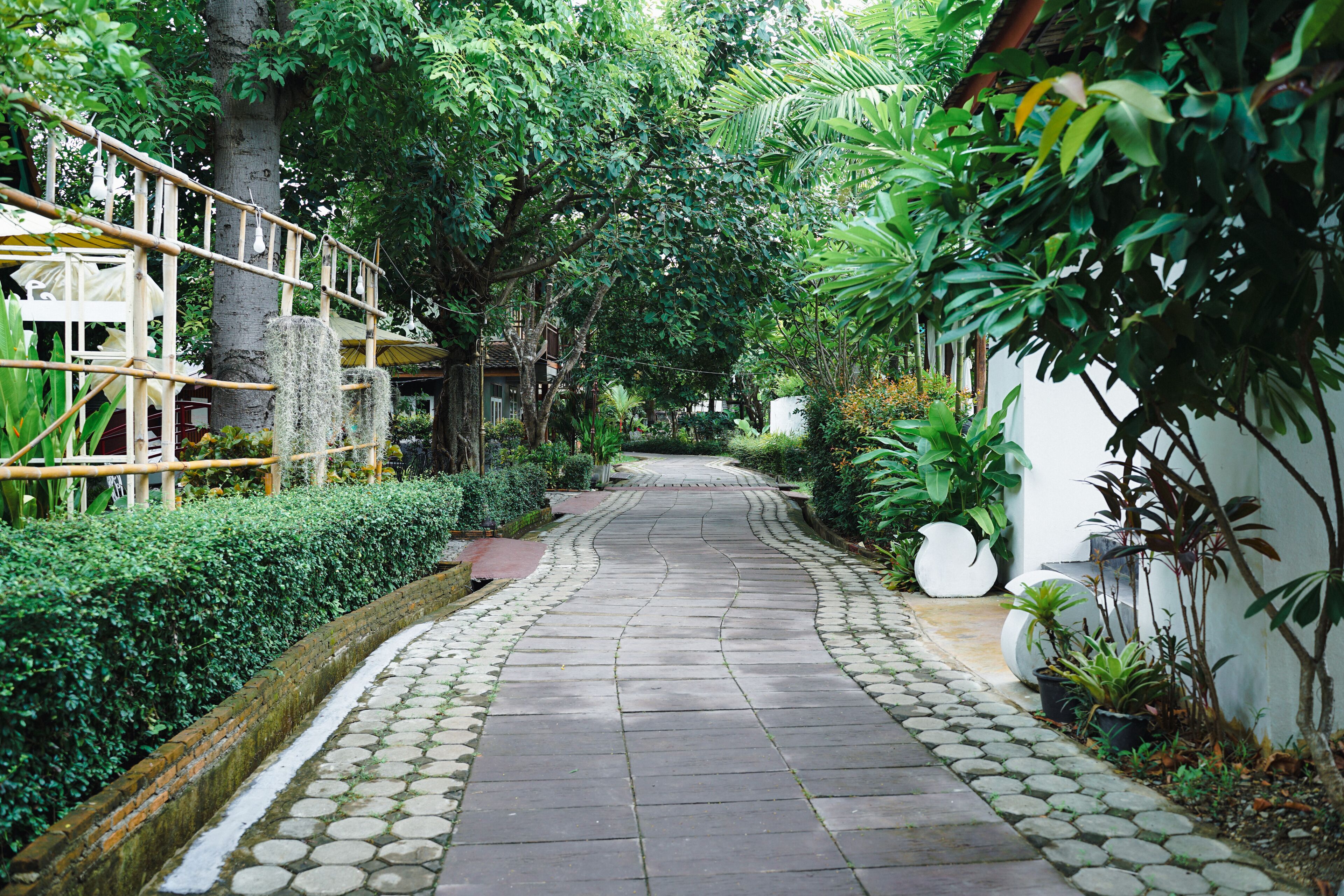 A pathway lined with greenery and a bamboo structure.