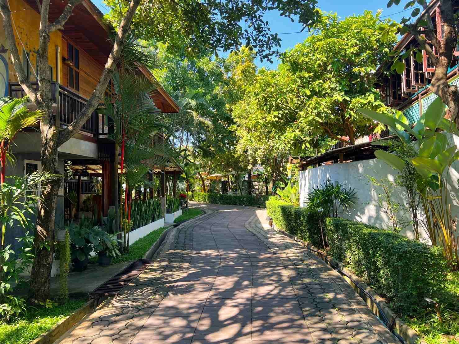 庭園