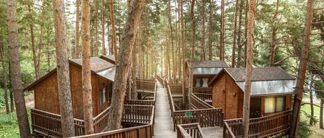 Vista desde la habitación
