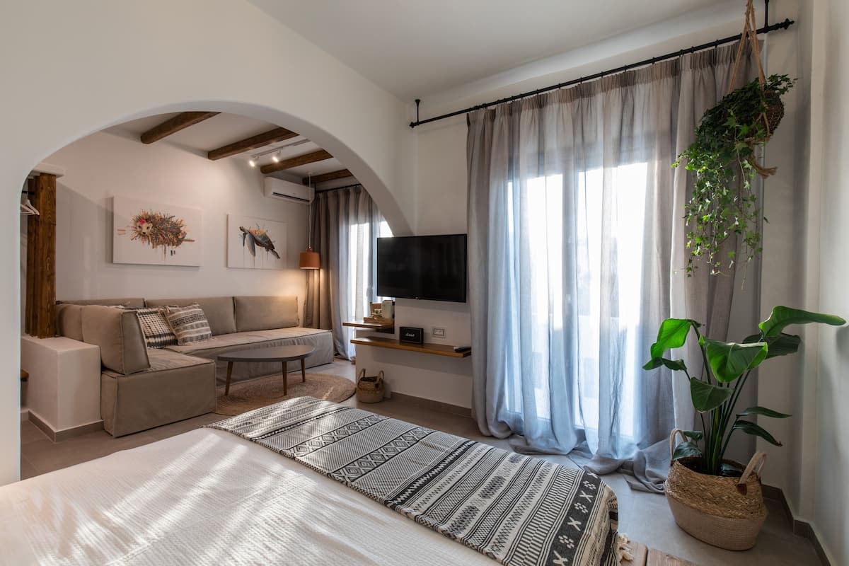Una sala de estar moderna con un sofá, televisor y una planta colgante.