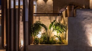 Un jardín interior bien iluminado con diversas plantas y una estructura de madera.