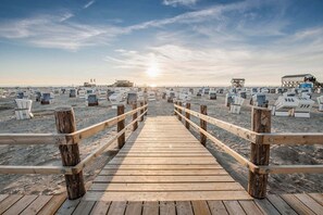 A wooden boardwalk leading to beach chairs with numbers on the sand.