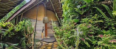 Una estructura rústica de madera con techo de paja, rodeada de abundante vegetación y un sendero de piedra que lleva a una puerta.