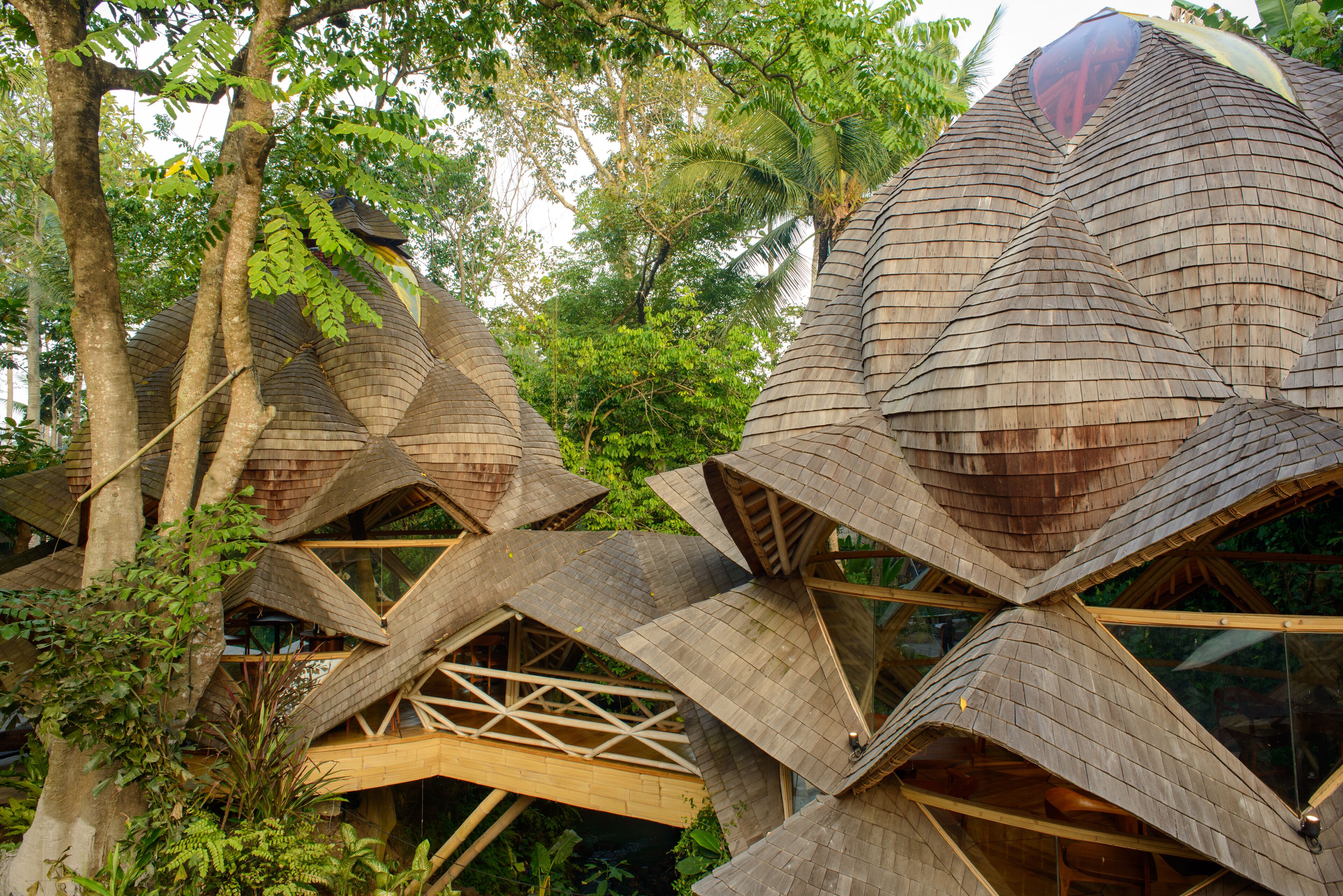 Foto - Ulaman Eco Luxury Resort