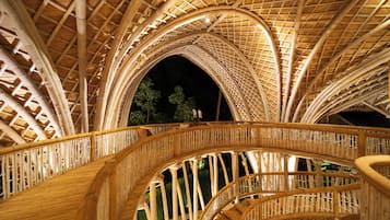 Cocoon Jungle | Terrazza/patio