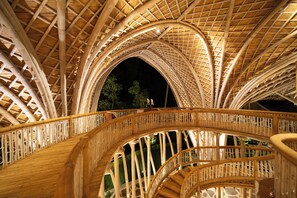 Cocoon Jungle | Terrace/patio
