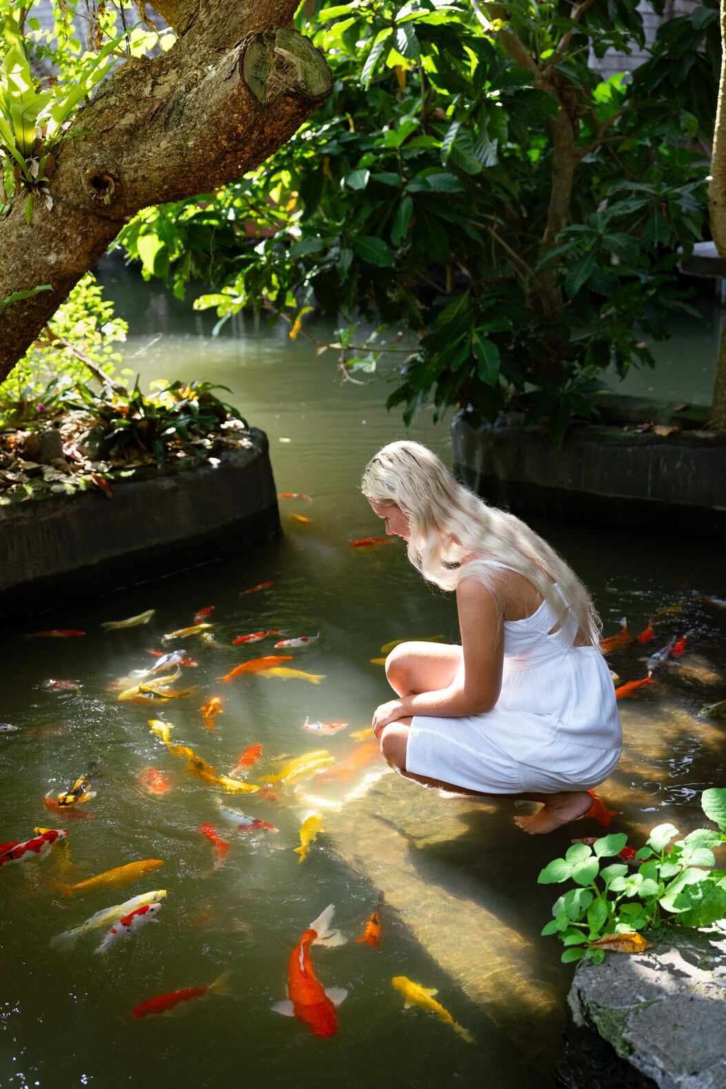 Foto - Ulaman Eco Luxury Resort