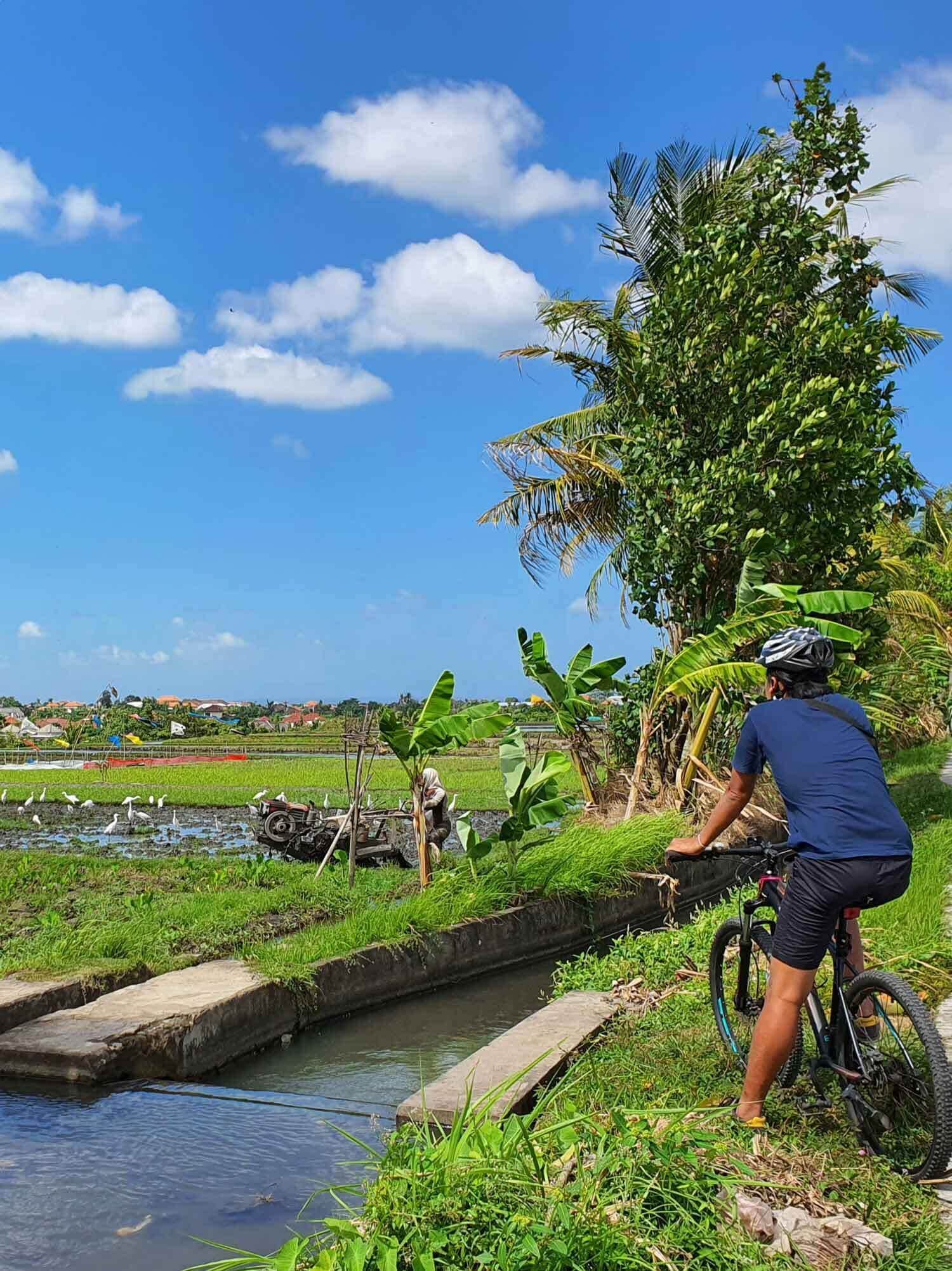 Una persona pedaleando en bicicleta por un estrecho canal con abundante vegetación y un cielo azul despejado.