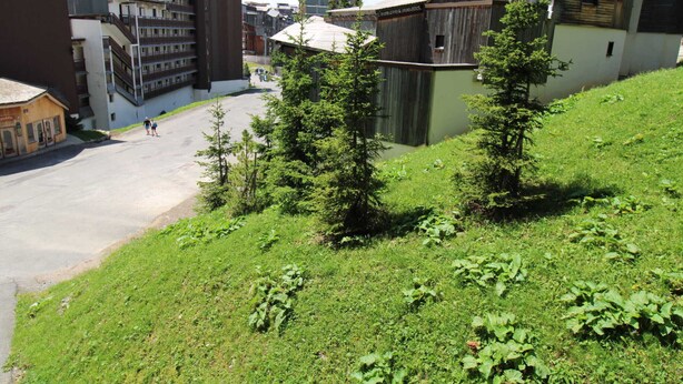 A street view with modern buildings, a grassy area with young trees, and a clear sky.