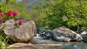 Um rio serpenteando por uma paisagem rochosa com grandes pedras e vegetação exuberante.
