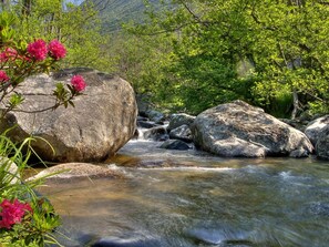 Un fiume che serpeggia attraverso un paesaggio roccioso, punteggiato da grandi massi e rigogliosa vegetazione.