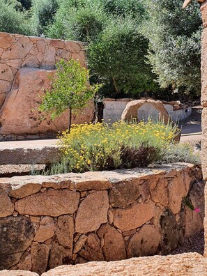 Property grounds - Gianni Location Palombaggia (Porto-Vecchio)