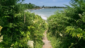 Caminho que leva a uma praia, ladeado por vegetação densa.