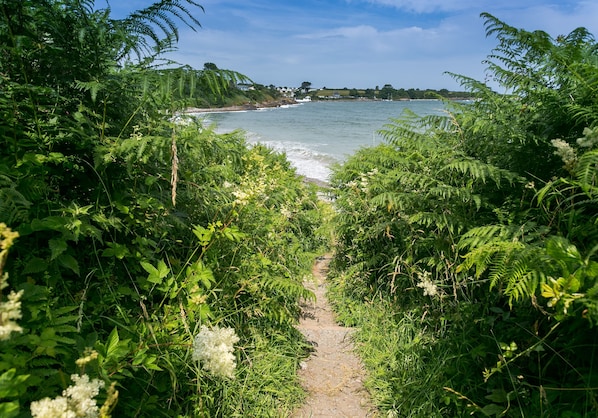Un sendero que lleva a una playa, bordeado de abundante vegetación a ambos lados.