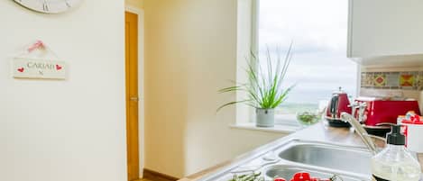 Fridge, microwave, oven, cookware/dishes/utensils