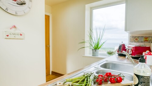 Y Beudy -  a sea view that sleeps 2 guests  in 1 bedroom