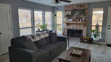 TV connectée, cheminée, livres