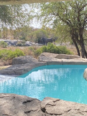 Exterior - Simbavati River Sands (Bushbuckridge)