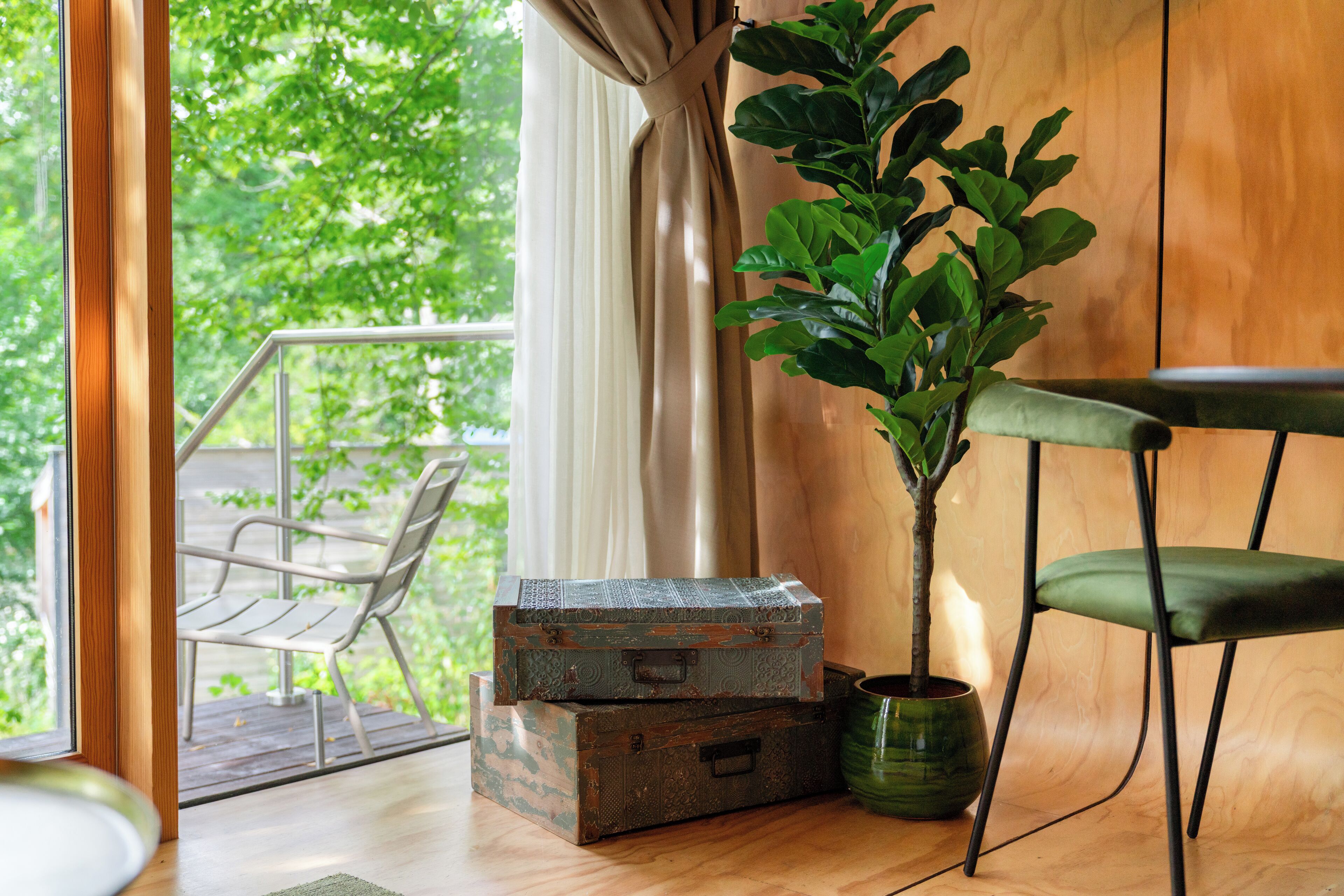 Una habitación con piso de madera, una silla verde, una planta en maceta y dos maletas de estilo vintage.